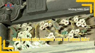 Mái đình rêu phong ven đê sông Đáy