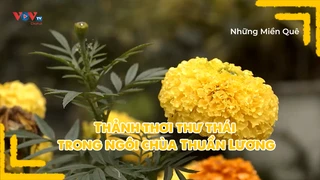 Thảnh thơi thư thái trong ngôi chùa Thuần Lương