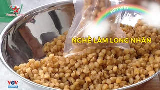 Nghề làm long nhãn