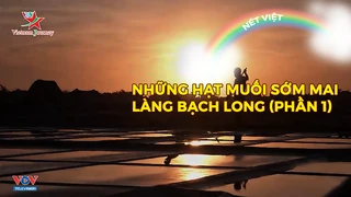 Những hạt muối sớm mai làng Bạch Long (phần 1)