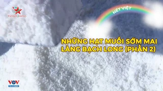 Những hạt muối sớm mai làng Bạch Long (phần 2)