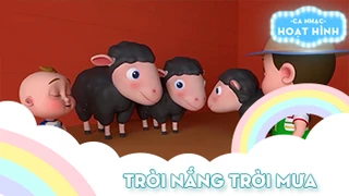 Ca khúc Trời nắng trời mưa (37)