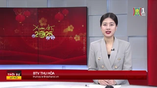 Chương trình Thời sự 11h30 | 02/02/2025
