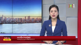 Chương trình Thời sự 11h30 | 14/02/2025