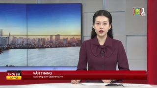 Chương trình Thời sự 11h30 | 15/02/2025