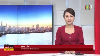 Chương trình Thời sự 11h30 | 22/02/2025