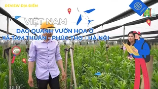 Dạo quanh vườn hoa ở xã Tam Thuấn - Phúc Thọ - Hà Nội