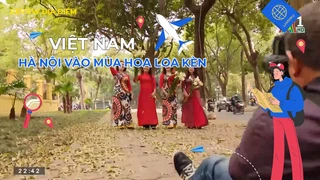 Hà Nội vào mùa hoa loa kèn