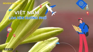 Loa kèn xuống phố