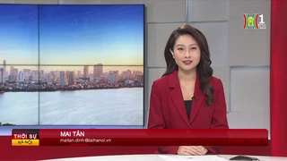 Chương trình Thời sự 11h30 | 01/04/2025