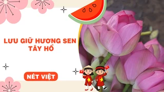 Lưu giữ hương sen Tây Hồ