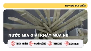 Nước mía giải khát mùa hè