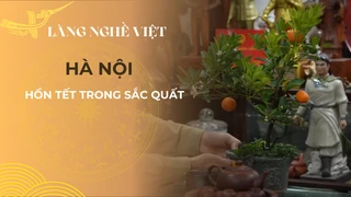 Hồn Tết trong sắc quất Hà Nội
