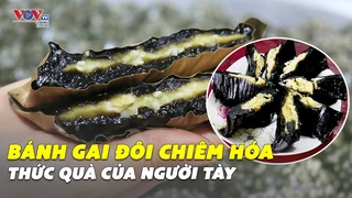 BÁNH GAI ĐÔI Chiêm Hóa p1
