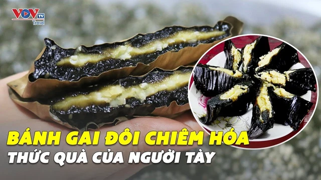 BÁNH GAI ĐÔI Chiêm Hóa p1