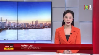 Chương trình Thời sự 11h30 | 29/04/2025