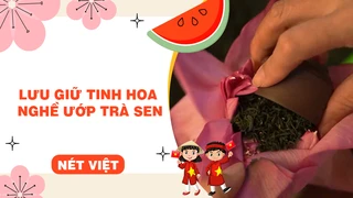 Lưu giữ tinh hoa nghề ướp trà sen