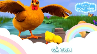 Ca khúc Gà con (10)