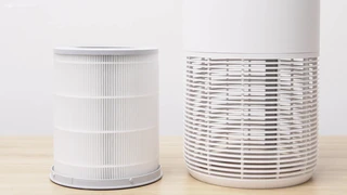 Máy lọc không khí cho chó, mèo khác gì loại thường