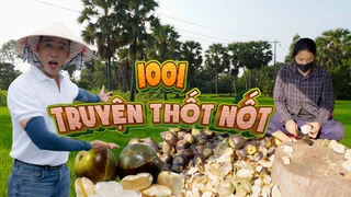 Trái thốt nốt đặc sản An Giang, 1001 truyện về cây Thốt Nốt