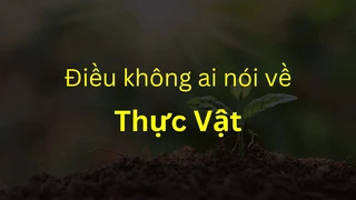 Phân loại và nghiên cứu hành vi của Thực Vật