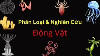 Khám Phá Khoa Học về Động Vật
