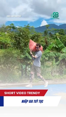 Nhập gia tuỳ tục