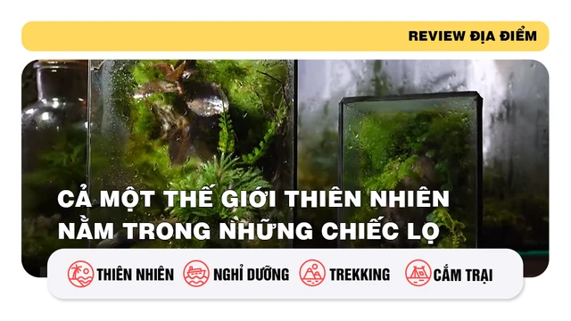 Cả một thế giới thiên nhiên nằm trong những chiếc lọ