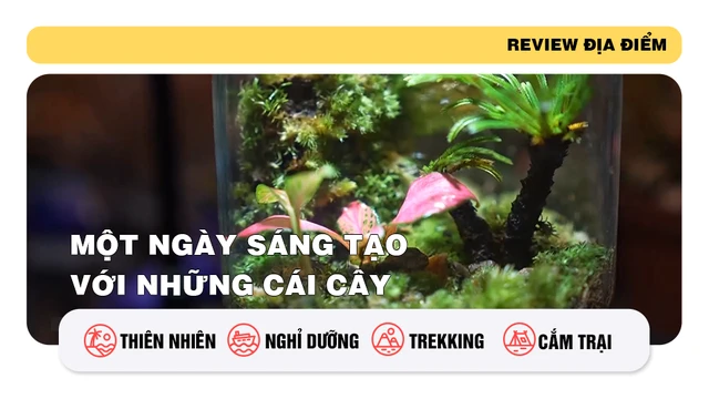 Một ngày sáng tạo với những cái cây