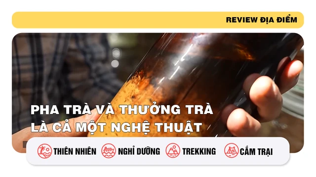 Pha trà và thưởng trà là cả một nghệ thuật