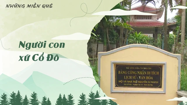 Người con xứ Cổ Đô